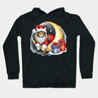 Maine Coon Cat On The Moon Christmas Hoodie